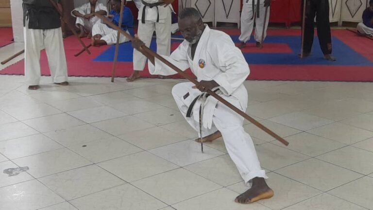 stage international de Kobudo à Douala