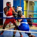 Mondial de boxe : des Lions prêts à rugir… et à frapper fort !