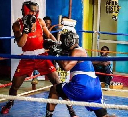Mondial de boxe : des Lions prêts à rugir… et à frapper fort !