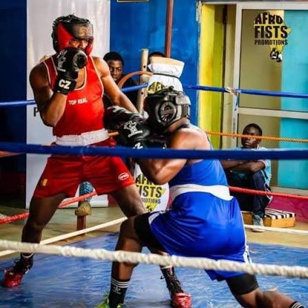 Mondial de boxe : des Lions prêts à rugir… et à frapper fort !